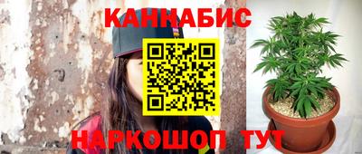 гашик Малгобек